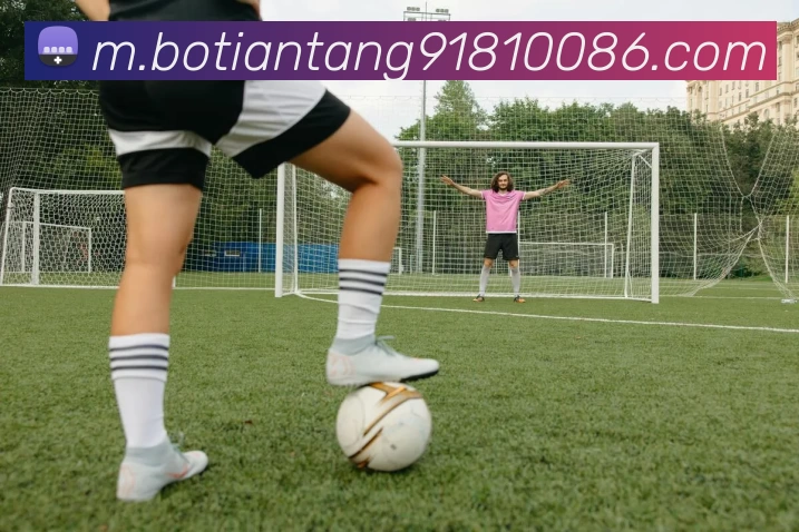 博天堂918服务体系