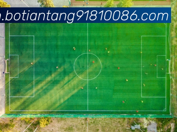 博天堂918APP 体育赛事宣传图